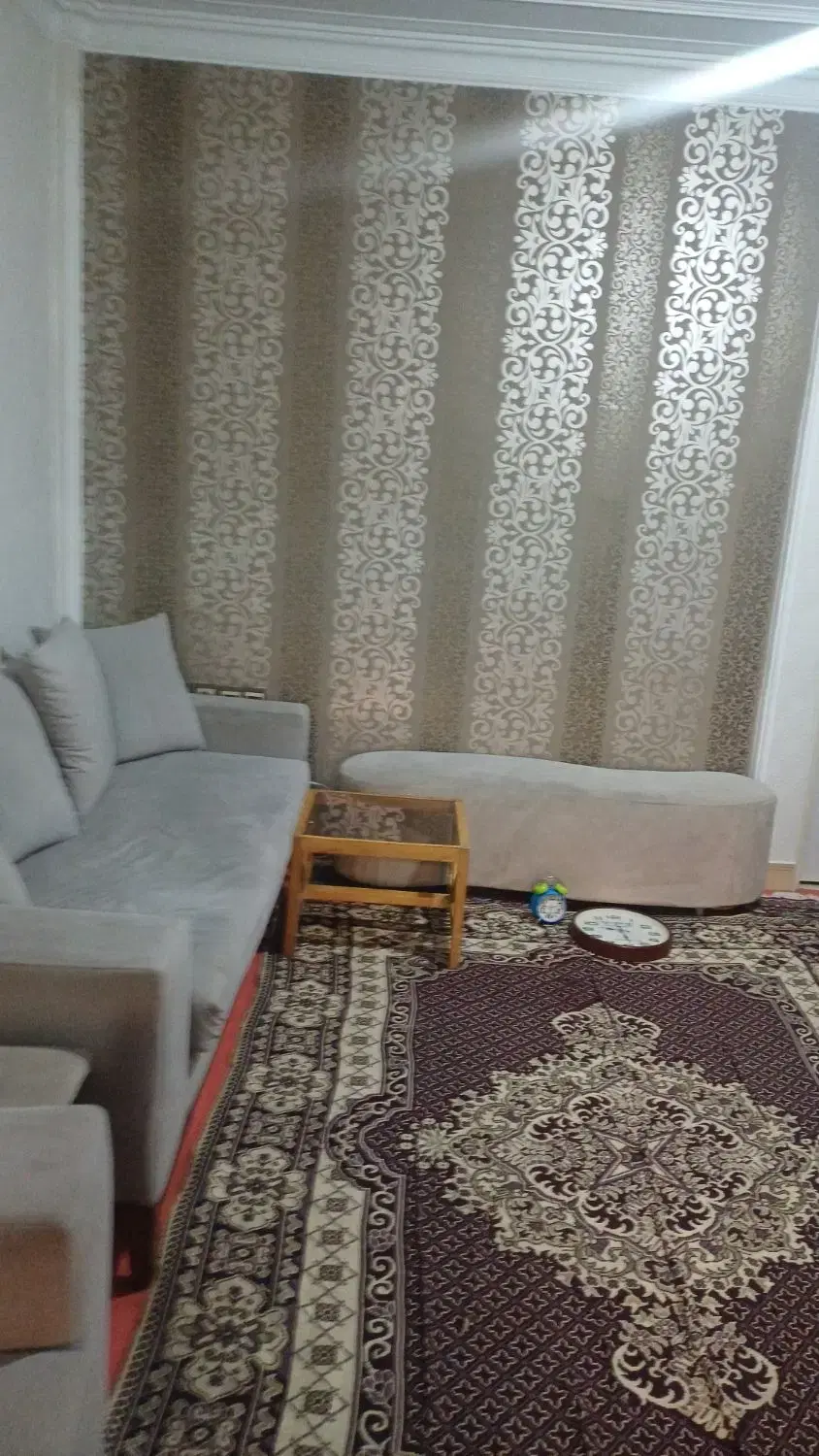 همخانه خانم