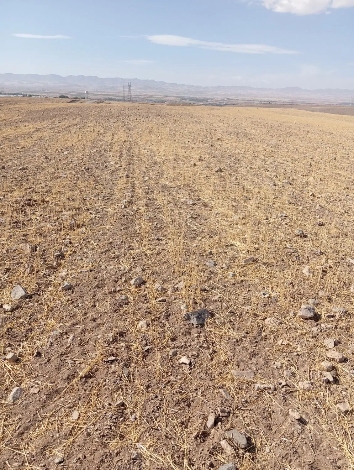 جاده تبریز ۲۵کیلومتری روستای یامچی