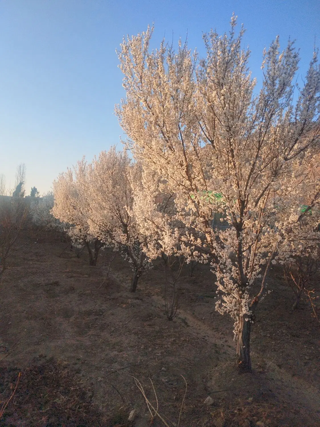زمین جانبازان۲۰۰ متری