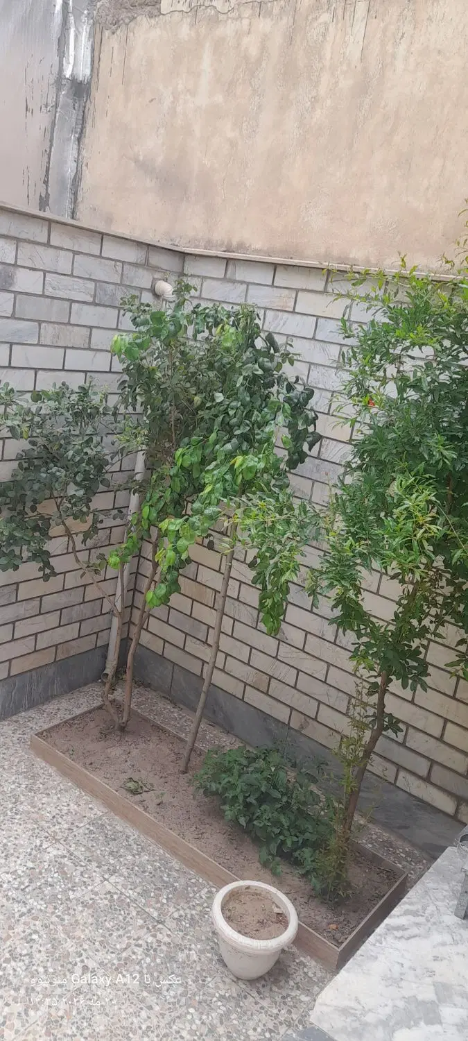 ویلایی میدان تیر نوبهار ۵
