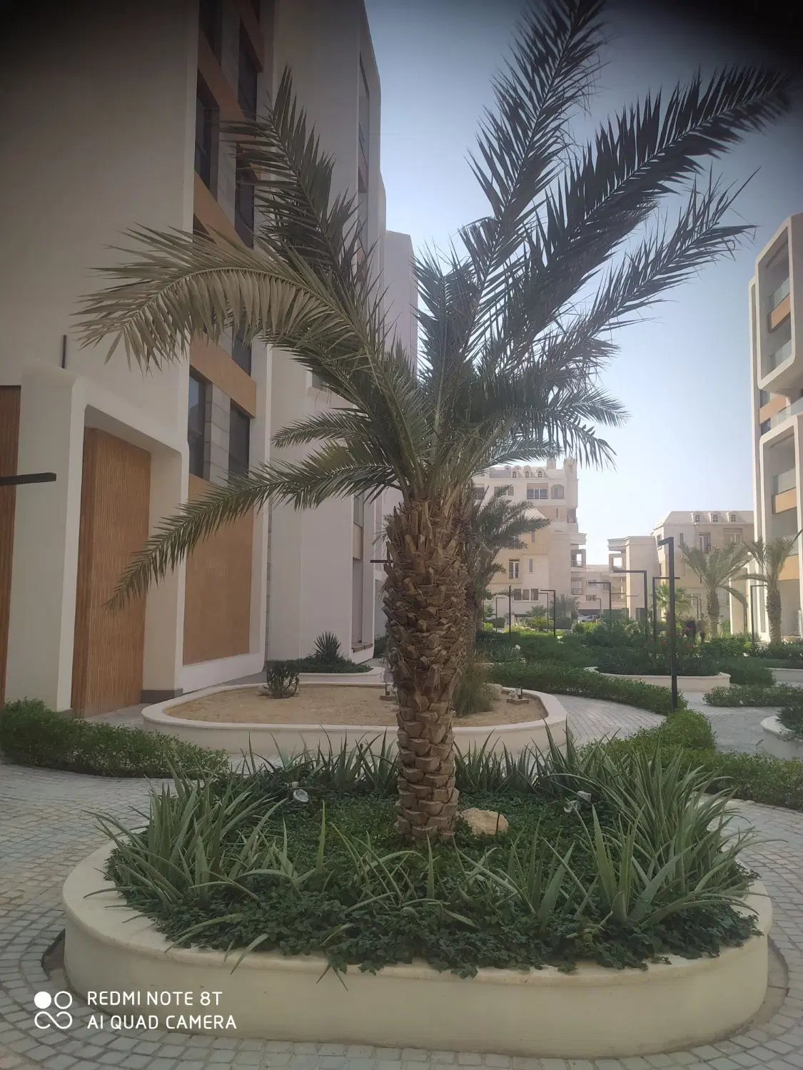 واحد تک خواب دید بی همتا