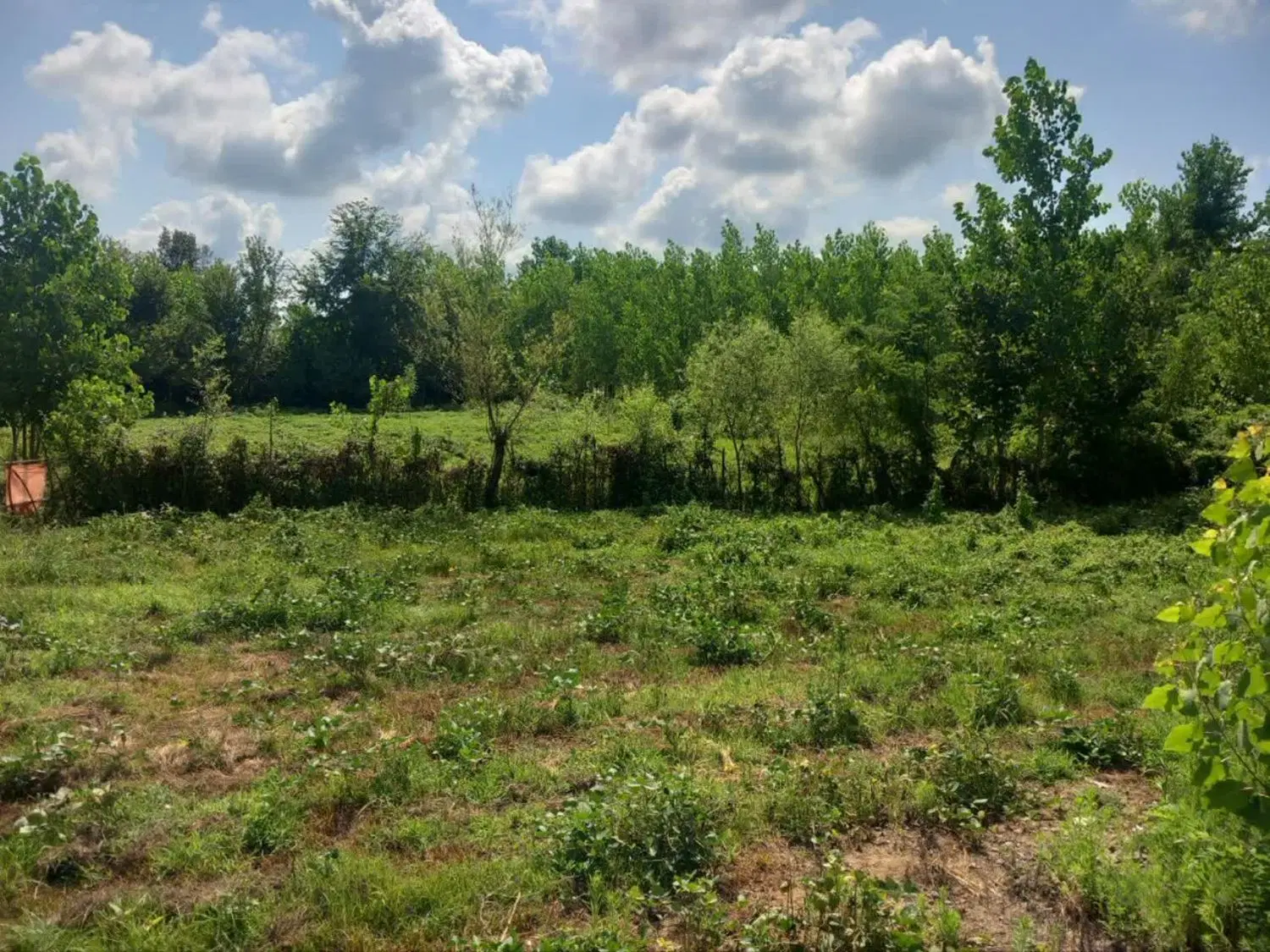 زمین ۳۰۱متری درروستای گوهررودرشت