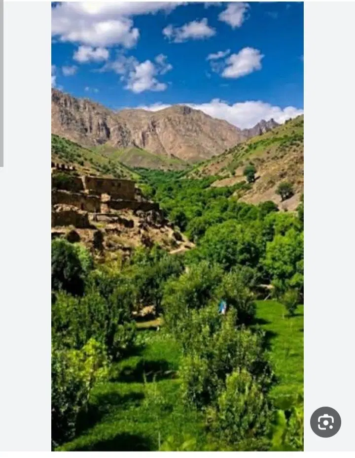 فروش زمین بندر گوغر با درختان گردو