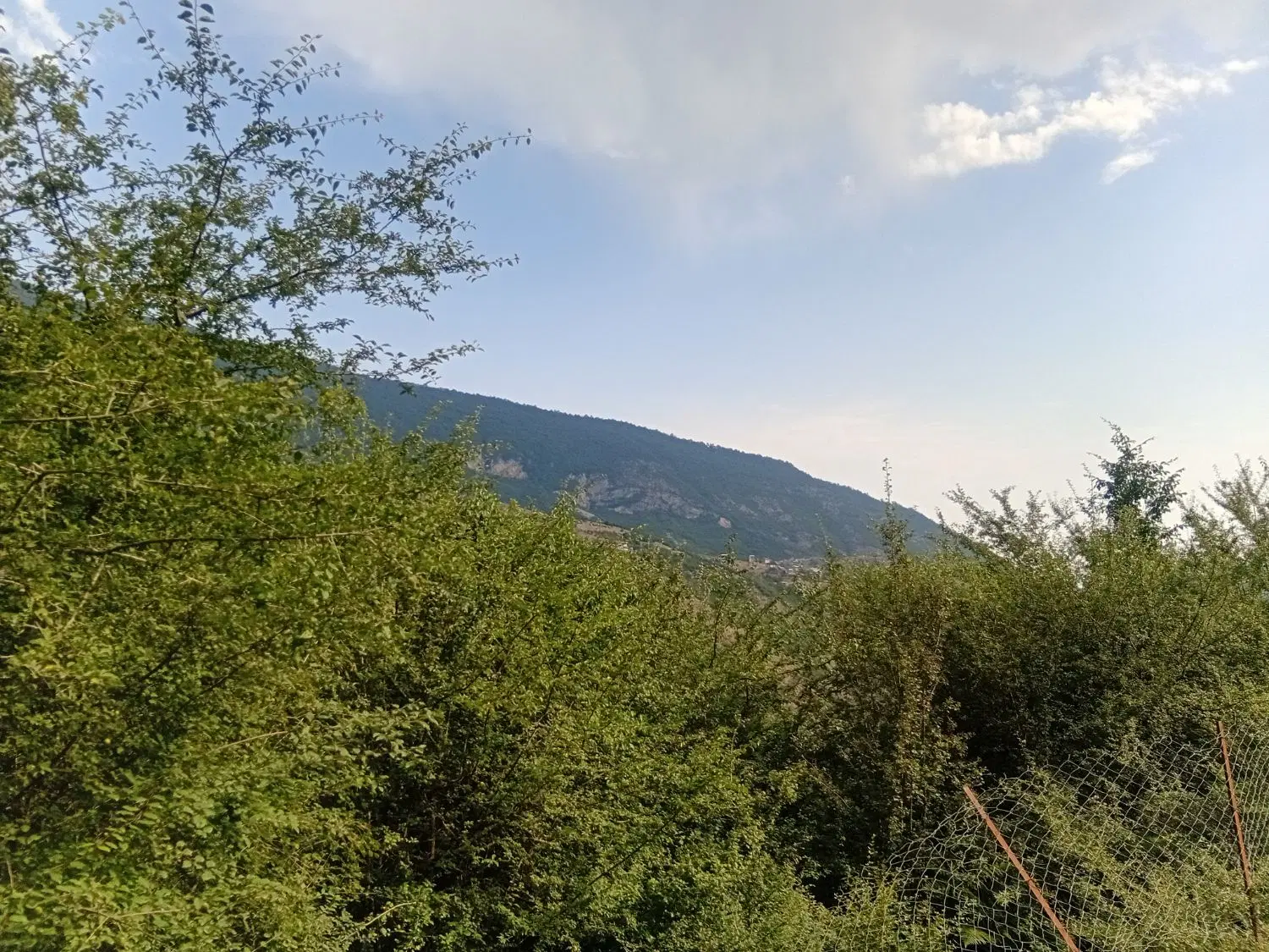 زمین ۲۵۰متر گاو خوسه