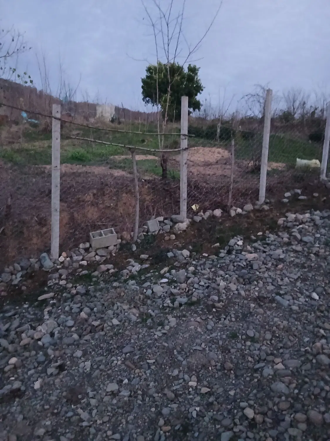 زمین مسکونی
