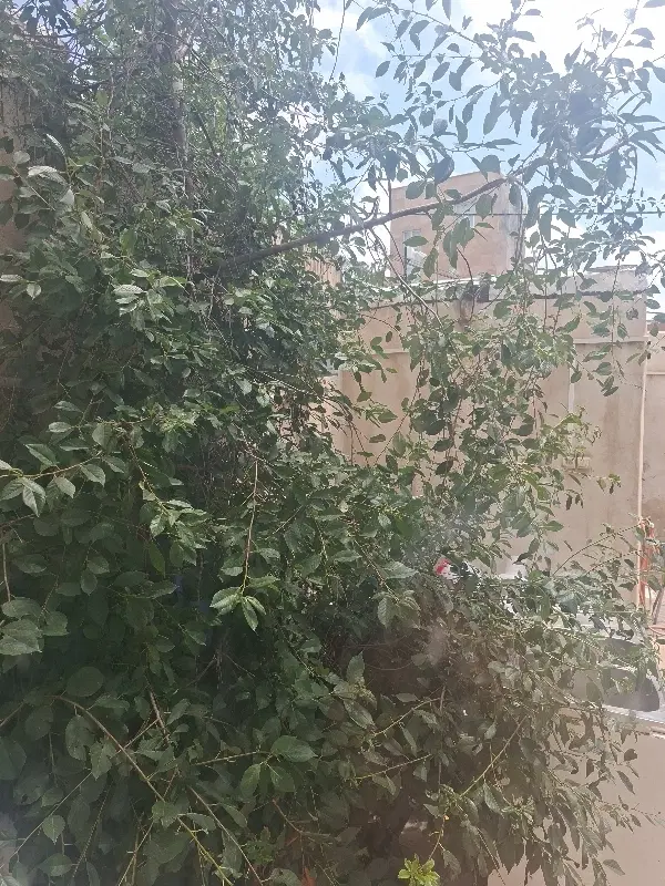 خانه ویلایی  راه کلخوران محله حسین اباد