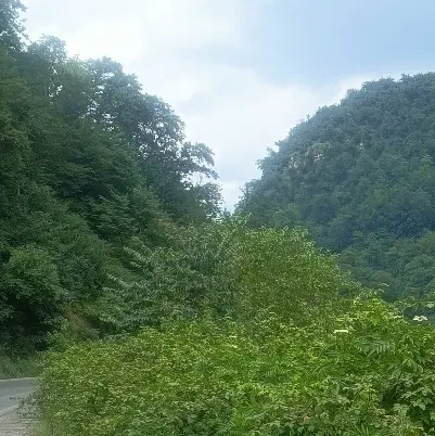 زمین باغی ۱۰۴۵متری