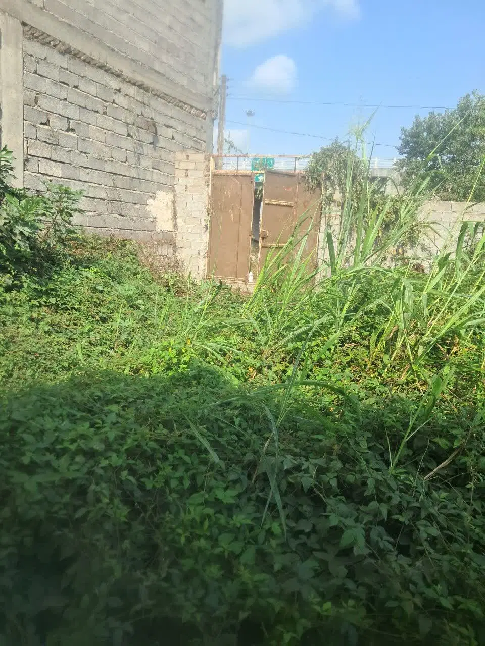 زمین لاهیجان ۶۲۳ متر تجاری مسکونی