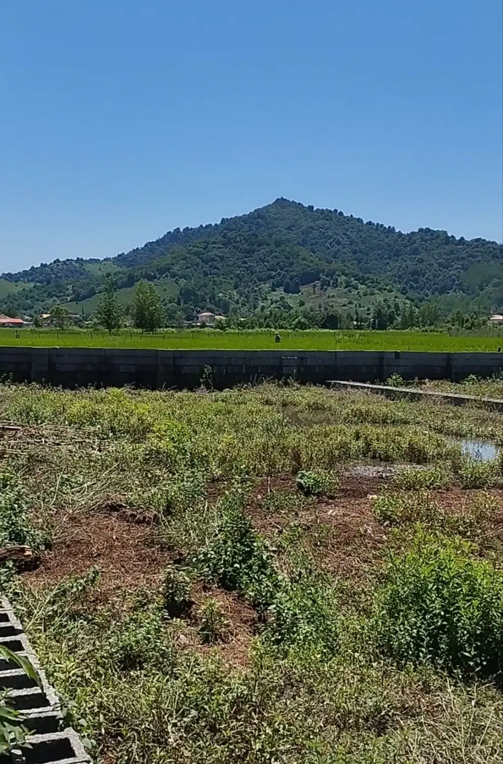زمین ۲۵۰ متری