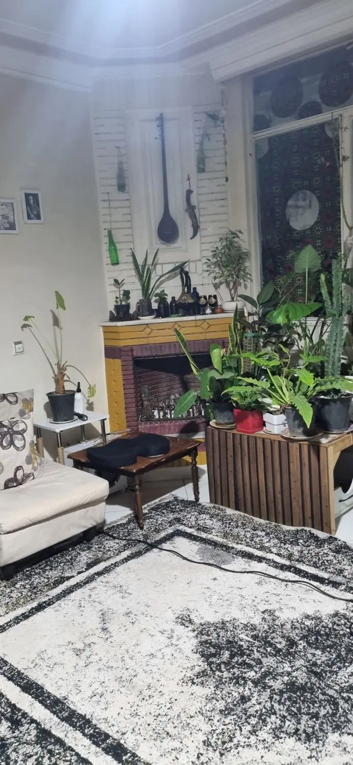 ۴۹ متر _غرق در نور  _تک واحدی_سرمایه گذاری