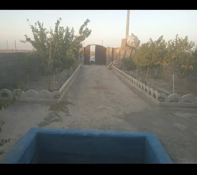 باغچه