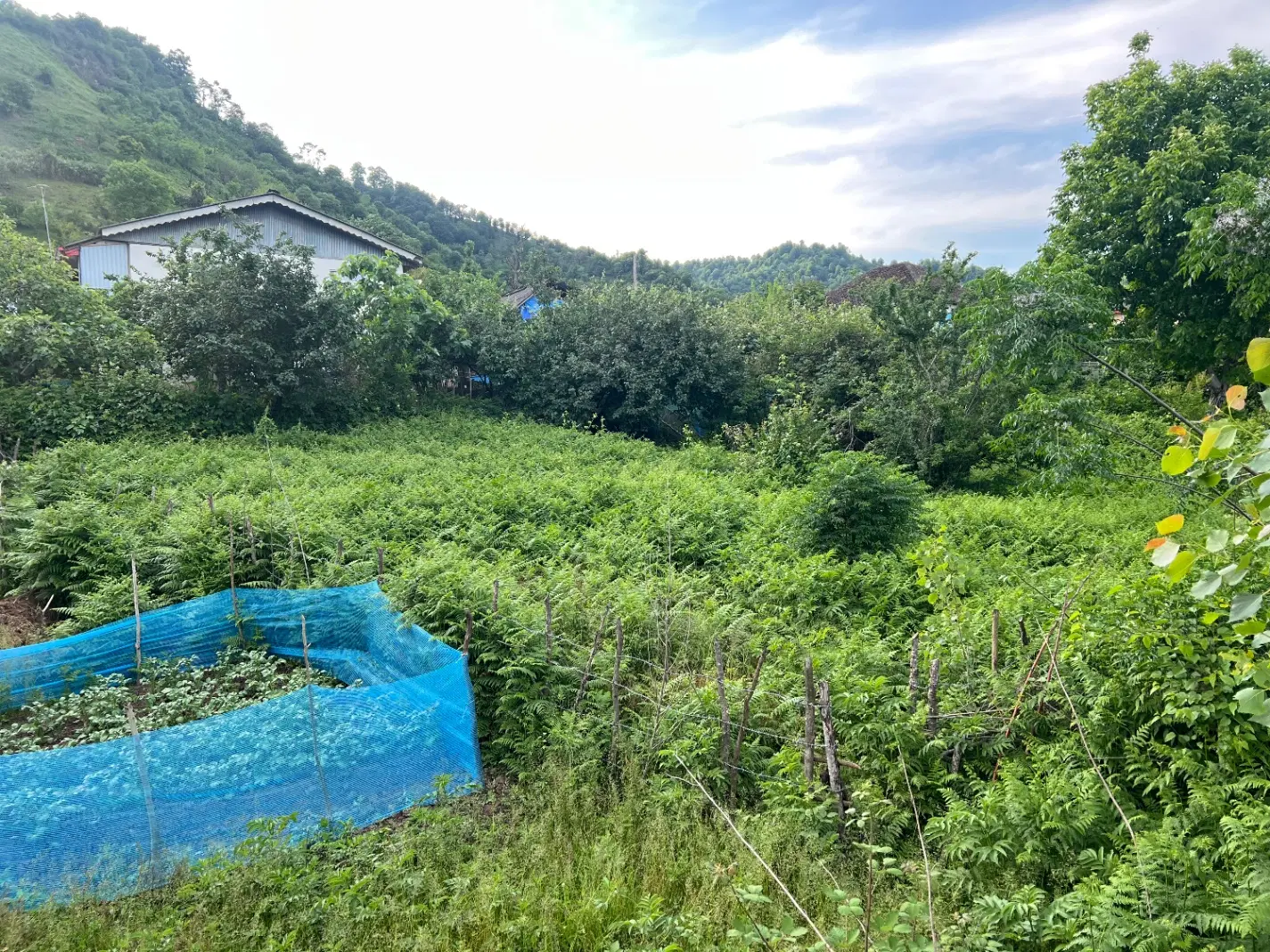 ۴۲۰متر زمین ویلایی کوهپایه ای در روستای سواکش