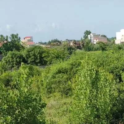 زمین باغی