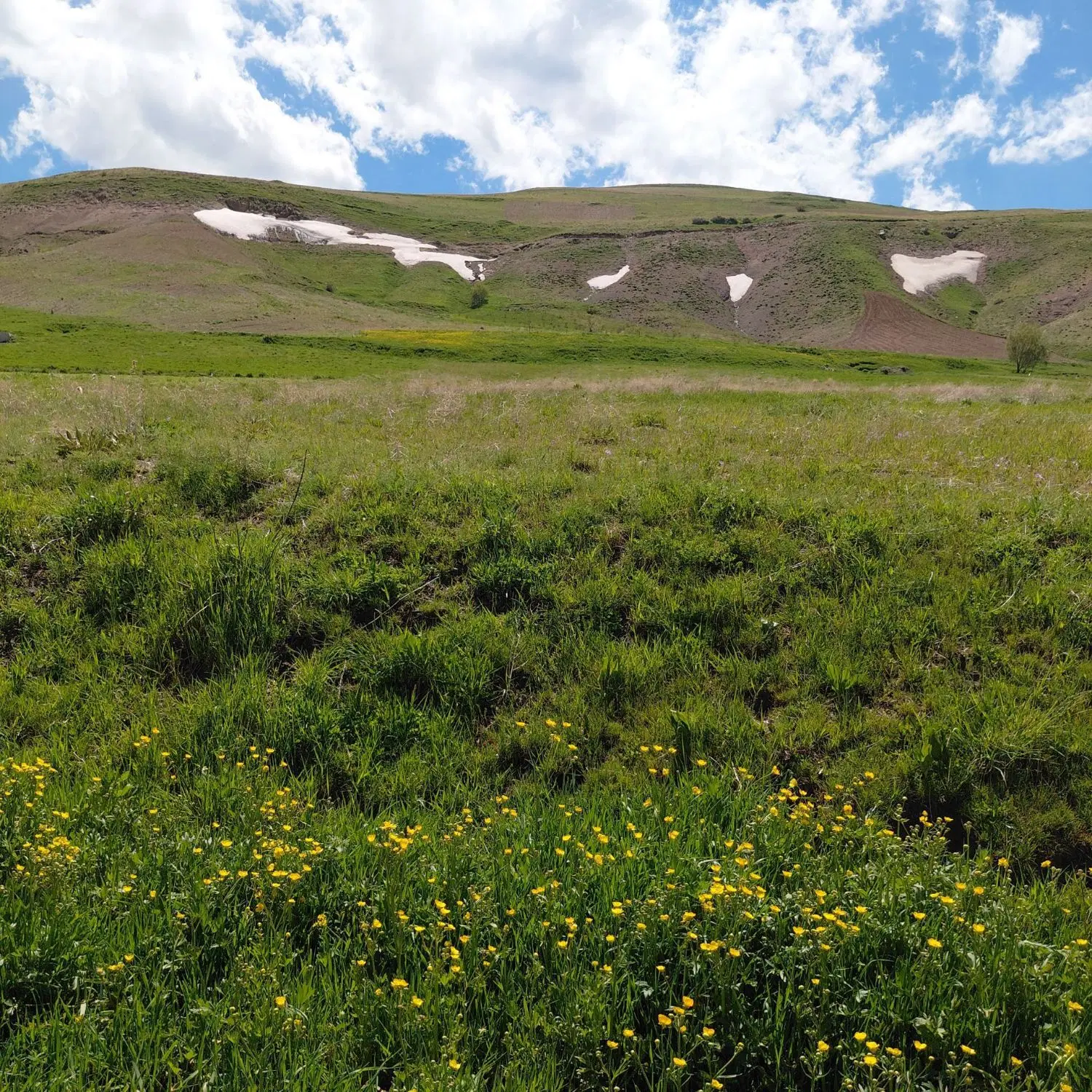 ملک زراعی