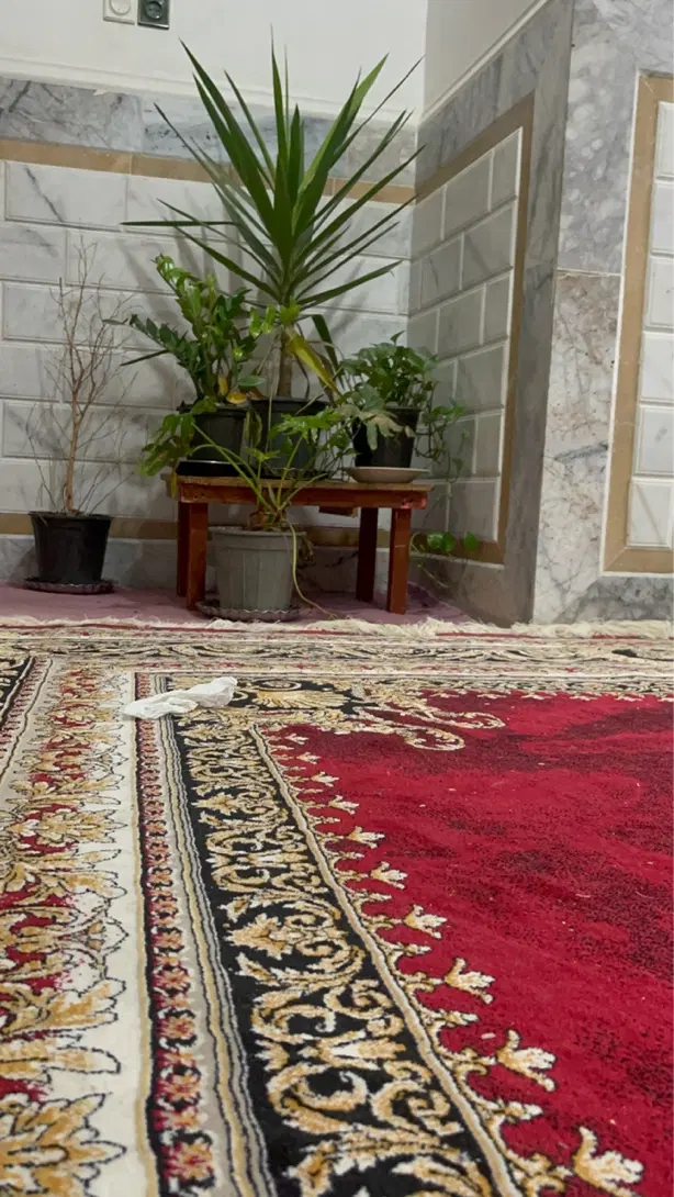 زمین تجاری مسکونی خیابان دانشگاه فروش و اجاره