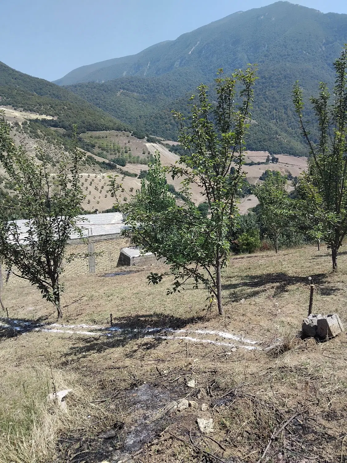 ملک مسکونی