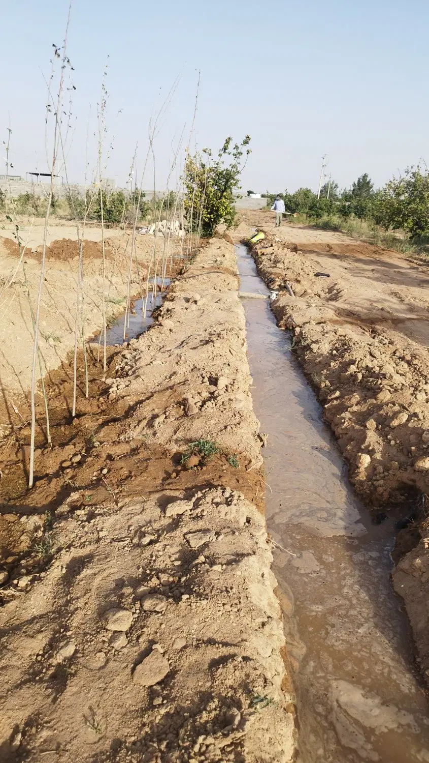 باغ پسته بهترین لوکیشن شاهین شهر