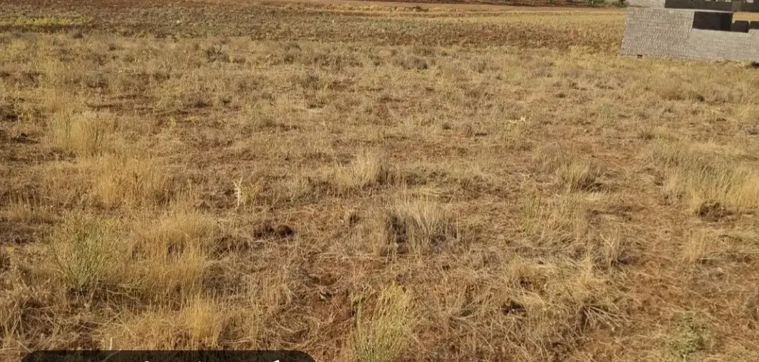 فروش فوری زمین مسکونی دونبش واقع در روستای کلسون