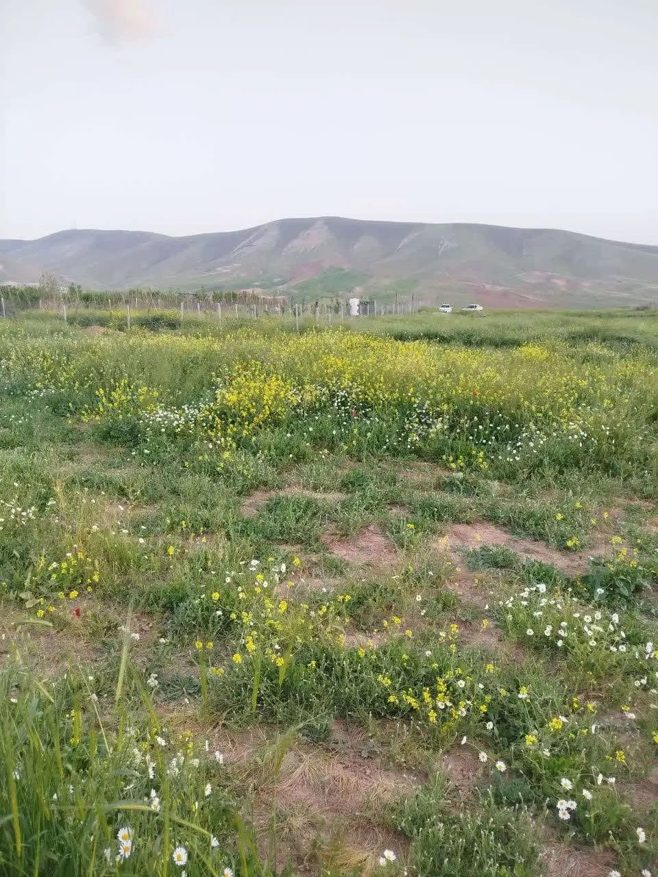 فروش زمین آبی ۱۰۰۰ متری سراب پرده