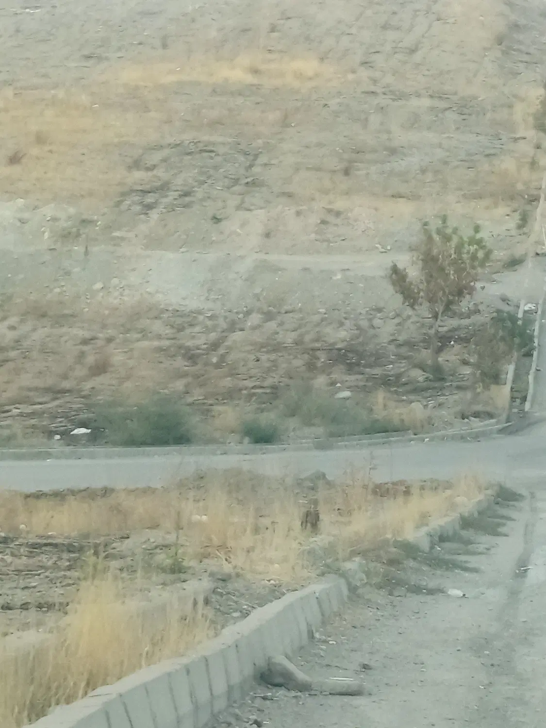 زمین مسکونی شهرک گلمان