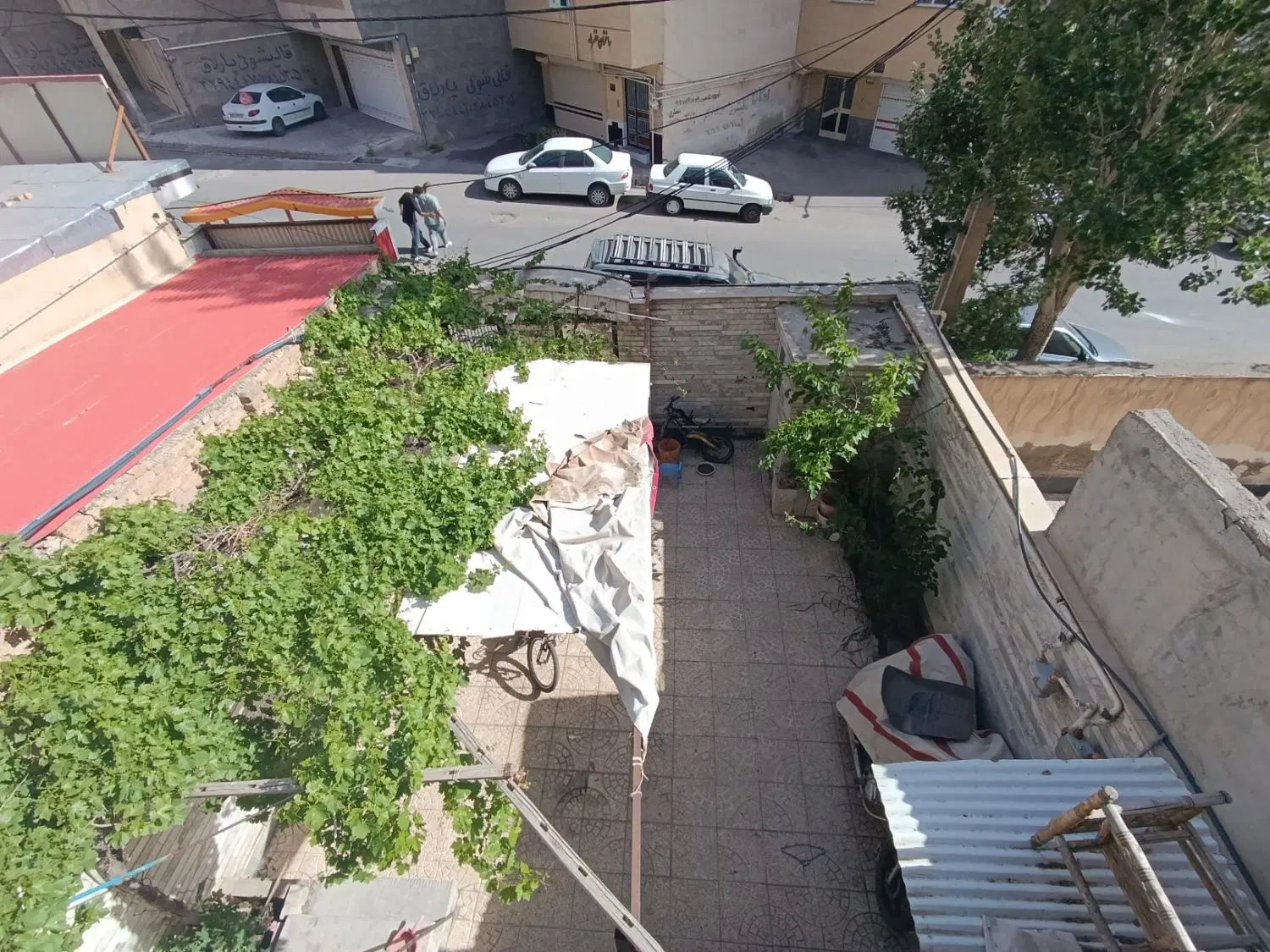 حیاط باغمیشه