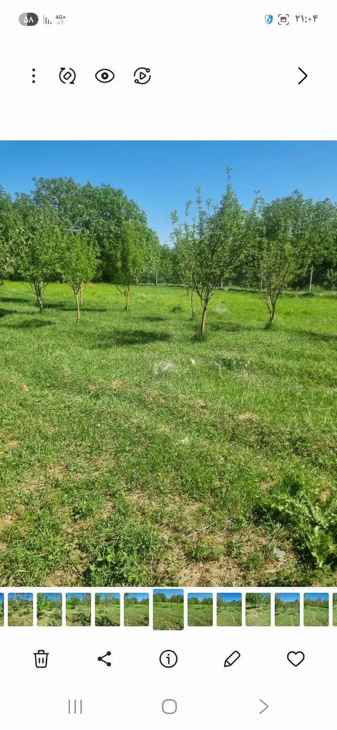 باغ سیب حیدره بالای شهر
