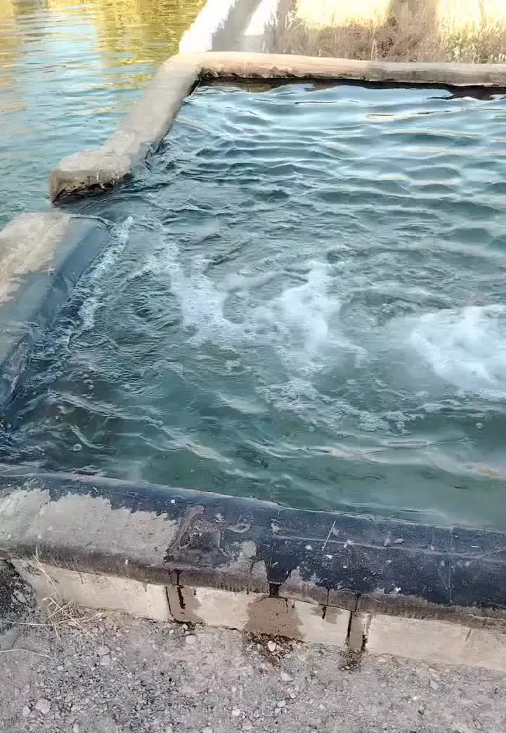 باغ دور دیوار
