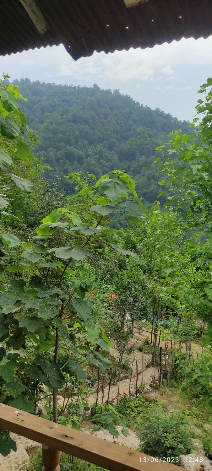 سیاه مزگی خانه کوهستانی