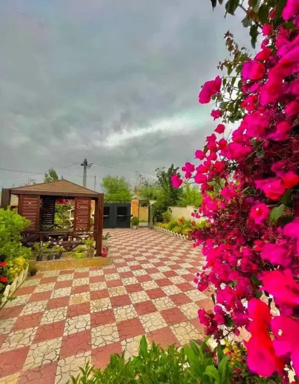 این ویلاخاصه حیاطشو ببین ویو جنگل نزدیک دریا۲۱۰متر
