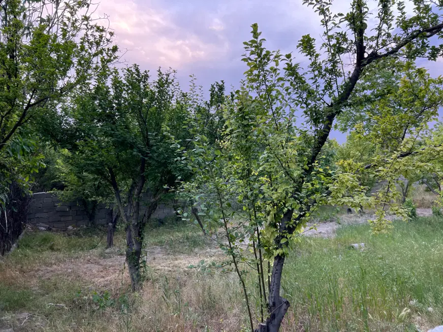 باغ ۲۳۰ متری دو نبش معوضه با خودرو