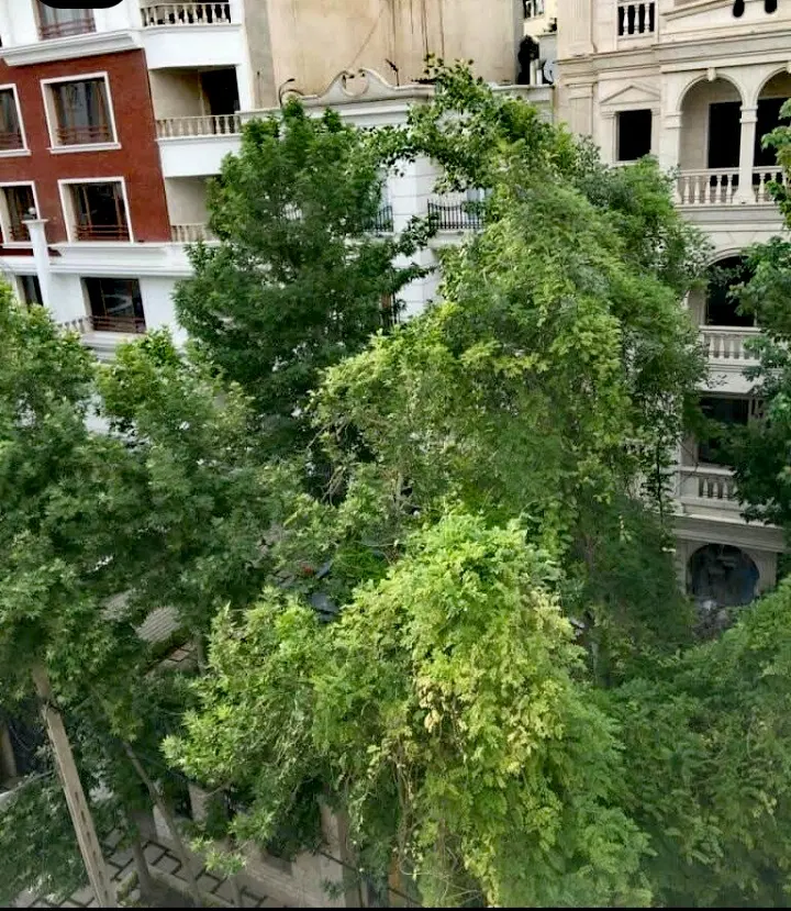۸۰متر یک خواب همکف صیاد شیرازی ویلا