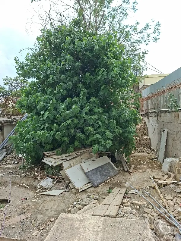 زمین صنعتی و کارگاهی ۲۵۰ متر و ۷۵۰ متر