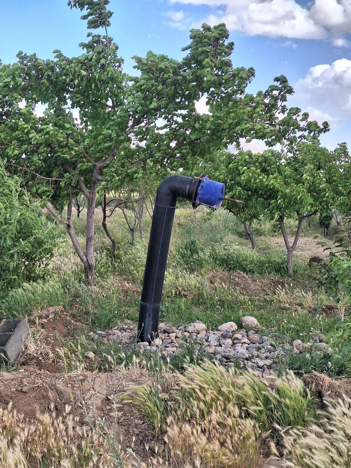 ۱۰۰۰ متر باغ با آب کشاورزی شاهین