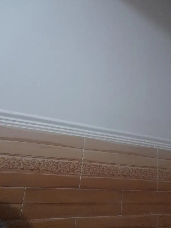 اتاق اجاره ای