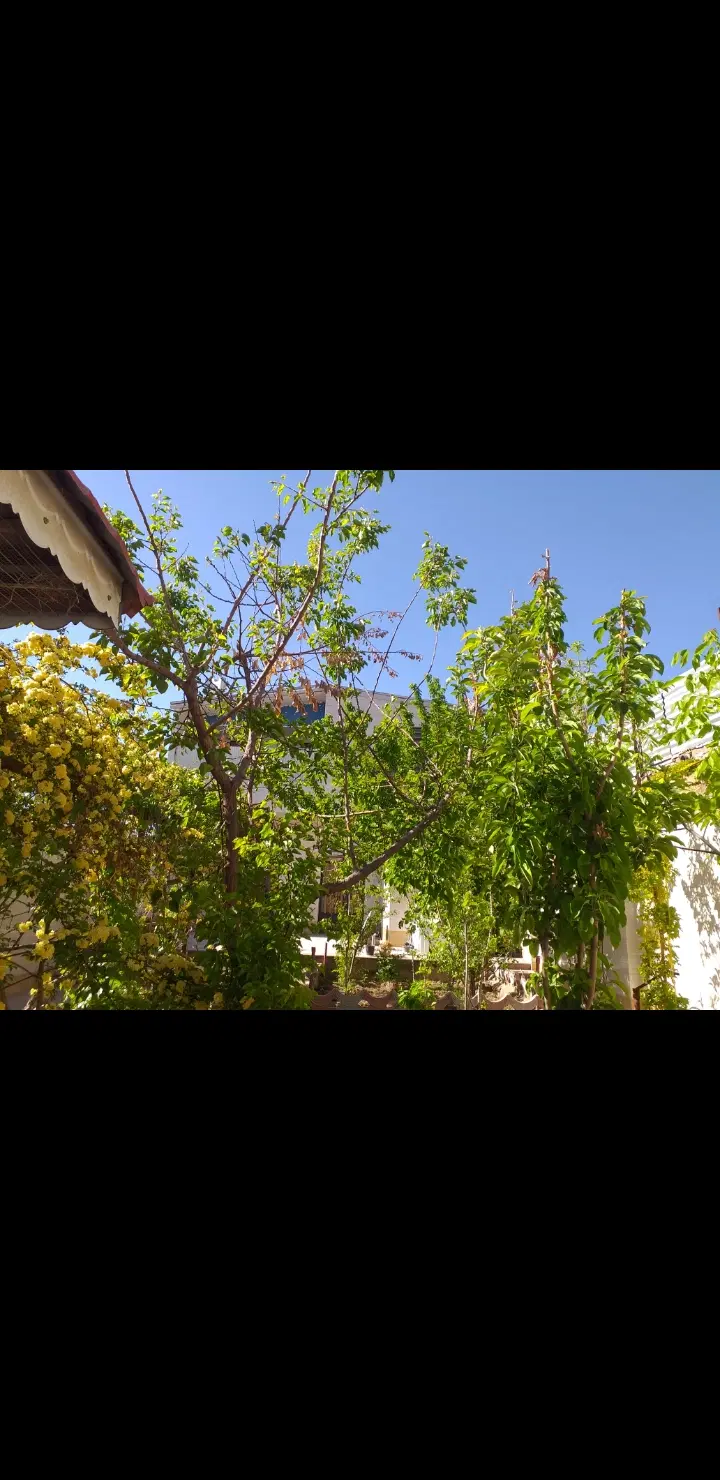 اجاره یک خانه ویلایی چترود کرمان