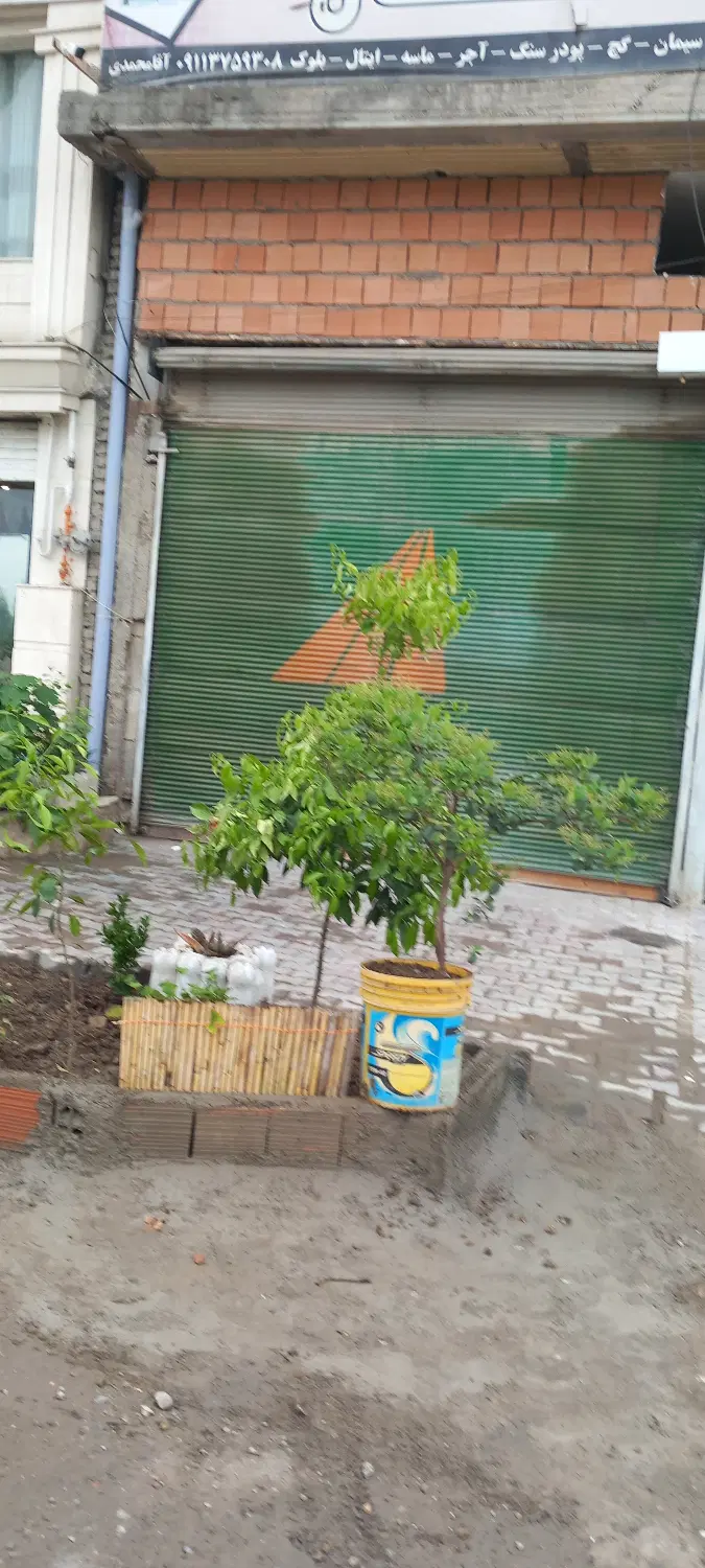 اجاره‌سوله‌و‌مغازه