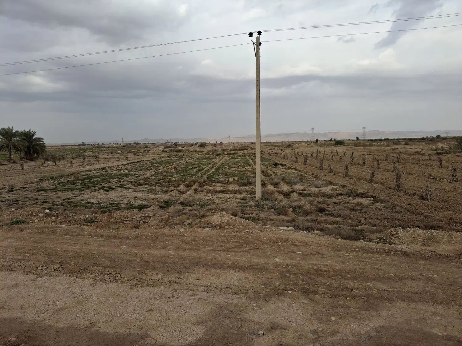فروش زمین گلخانه ای