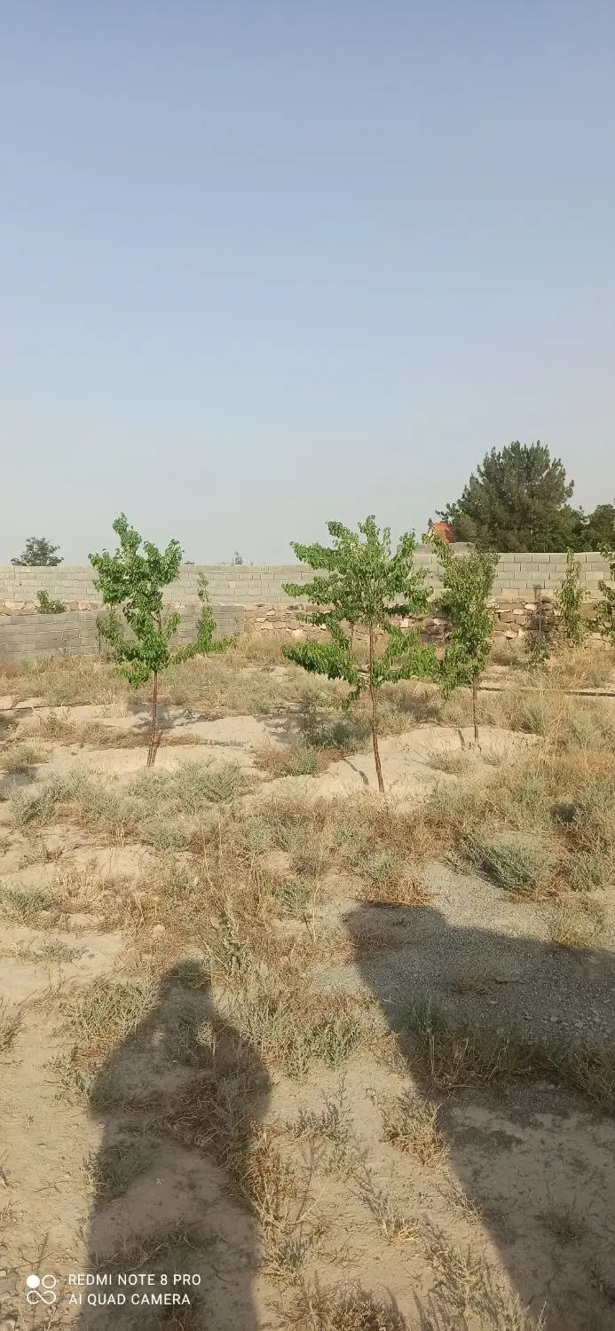 باغ