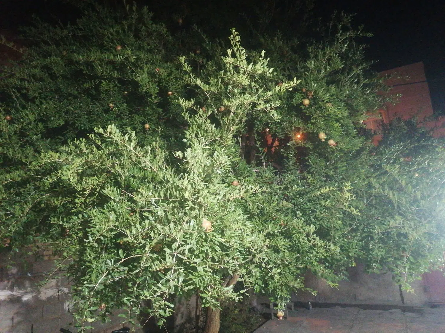منزل سه خوابه ویلایی