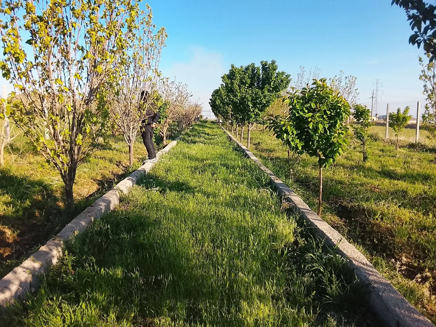 دوهزارمترباغ در کبریت میان روبروی اتوبان