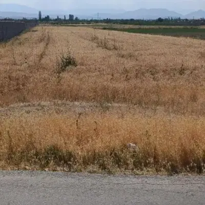 زمین زراعی یک هکتار