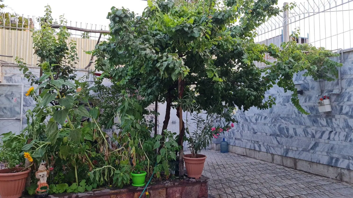 ملک ویلایی بازسازی شده مناسب ساخت وساز و سکونت