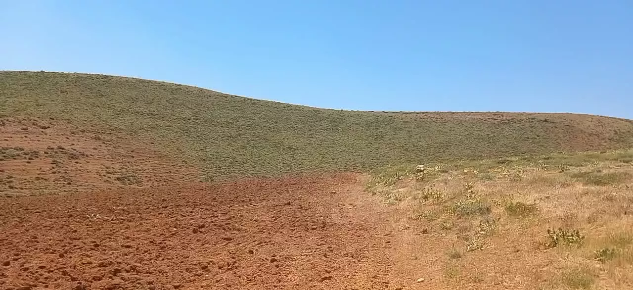 باغ وزمین دیم بان لیلاخ روستا آلی پینک