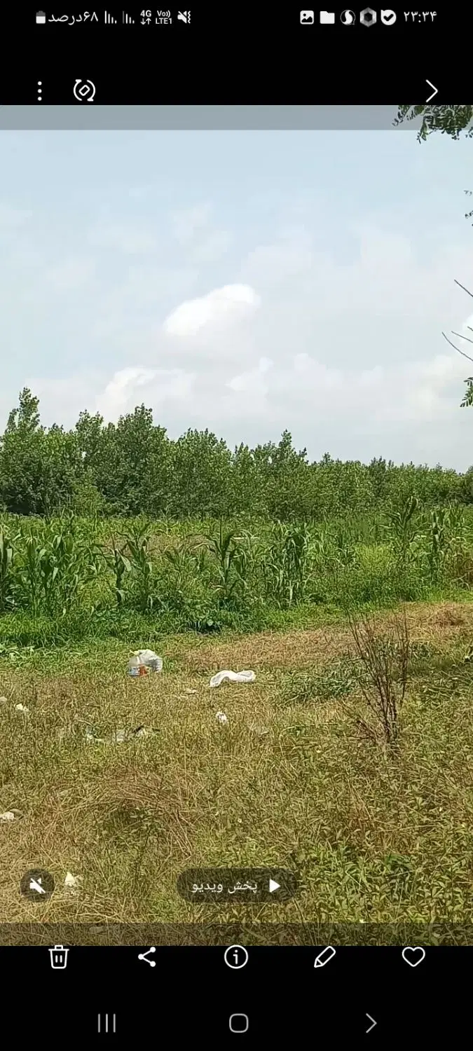 زمین در طرح هادی  کوشالشاه