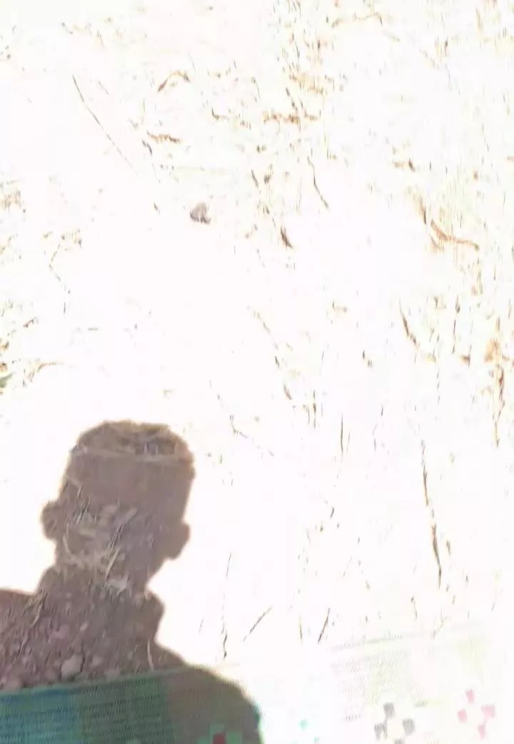 فروش زمین خانه باغ در روستای گول