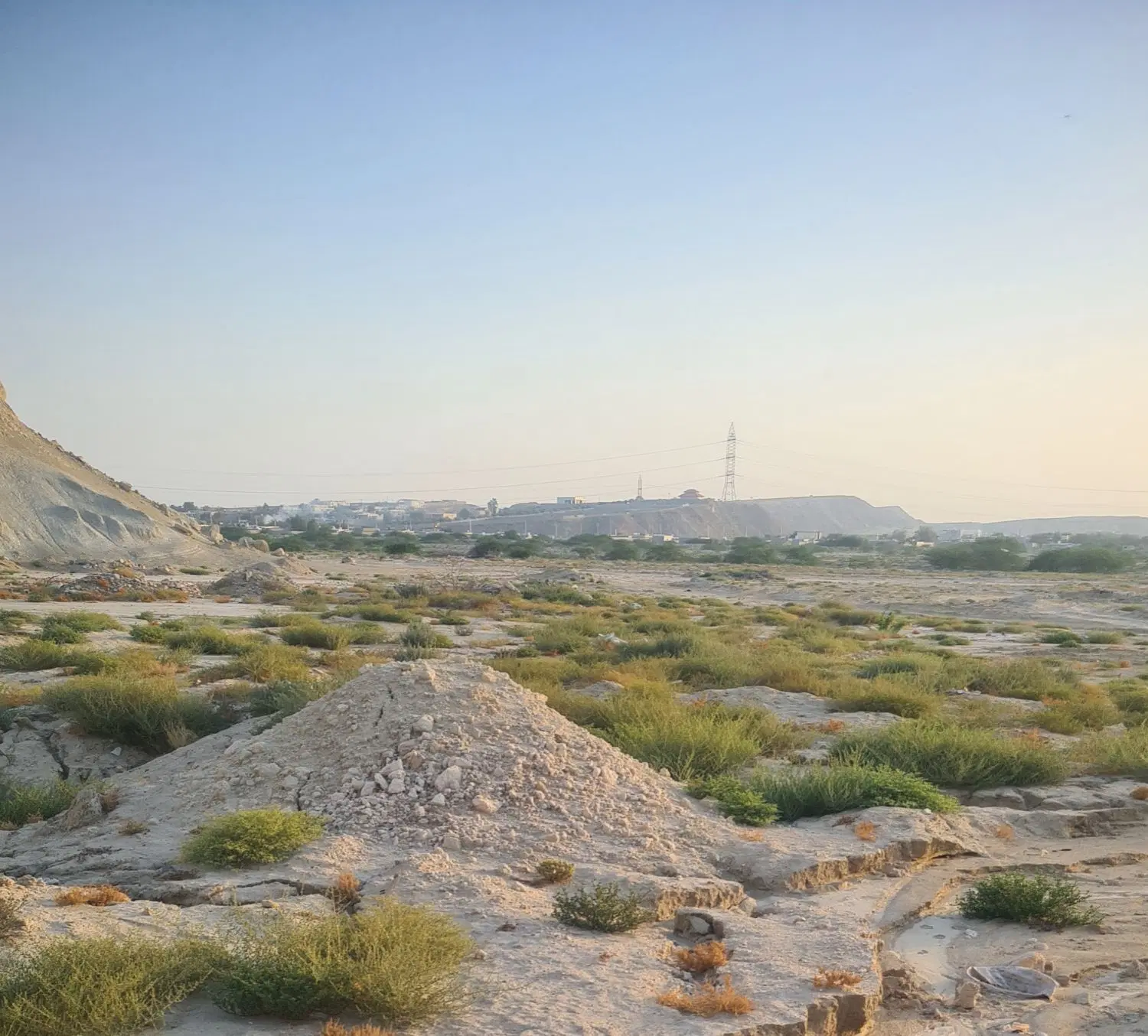 زمین طولا شقایق ۳۸