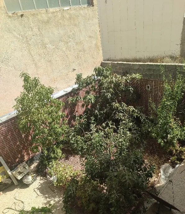 رهن و اجاره همکف