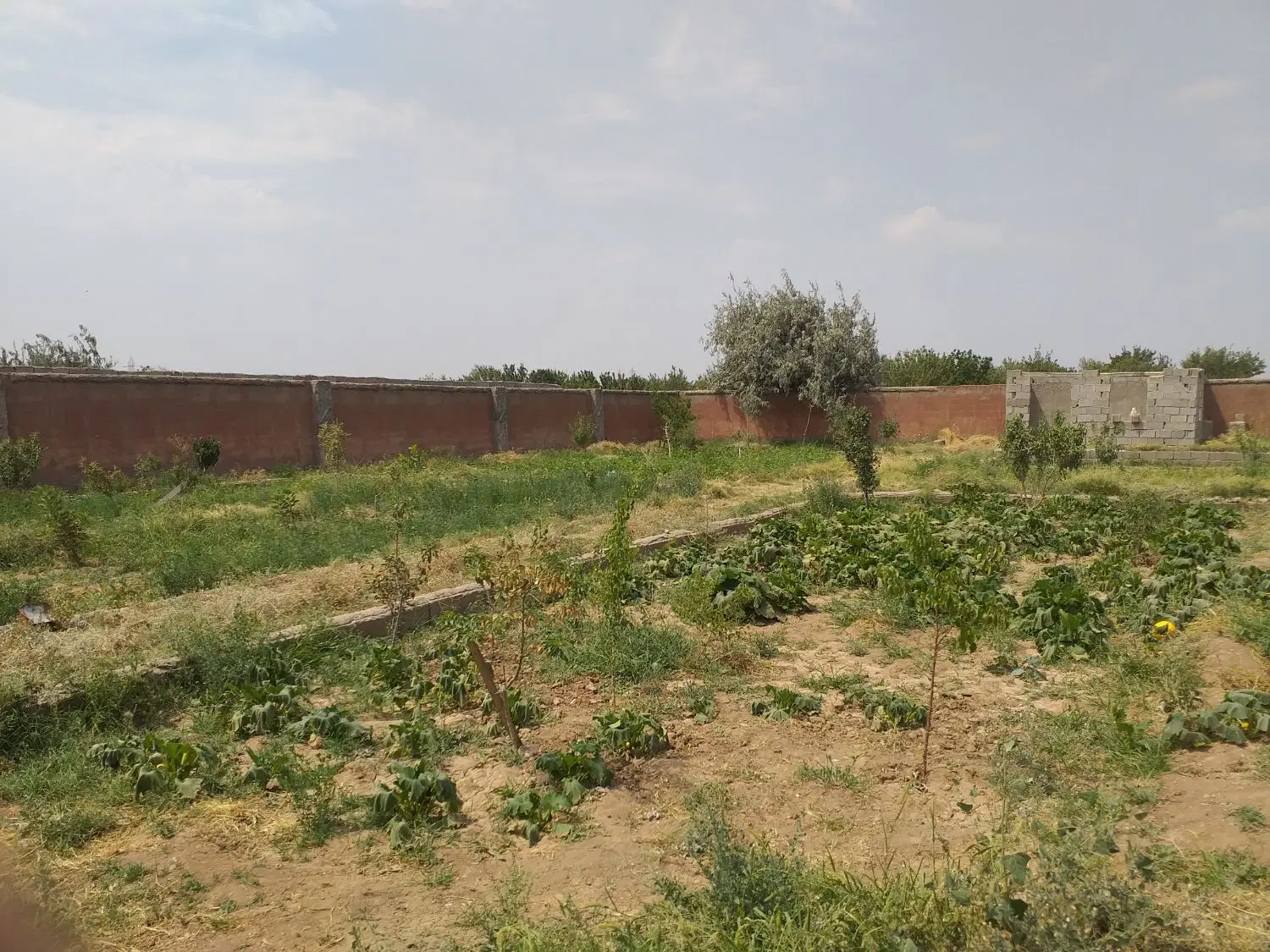 باغ ویلا باغمعروف
