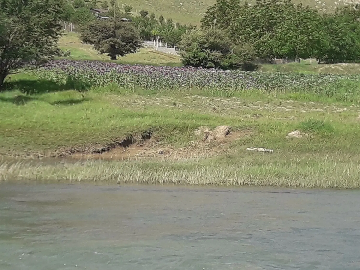 خانه وملک