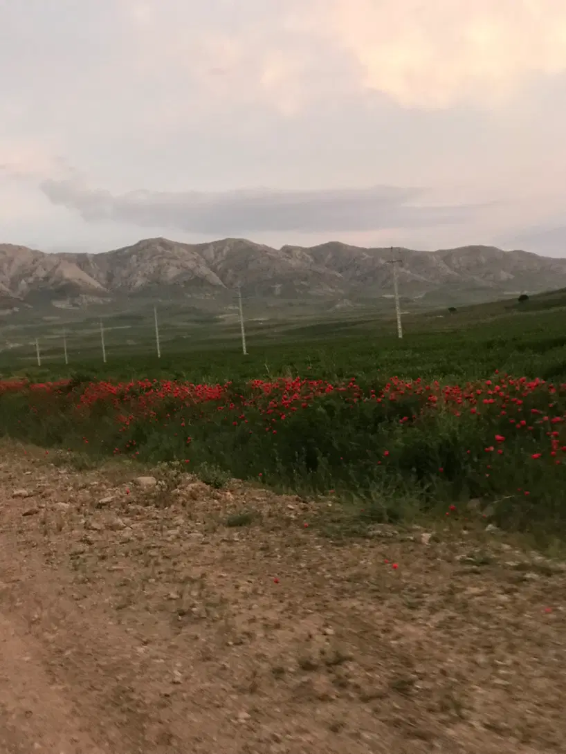 باغ
